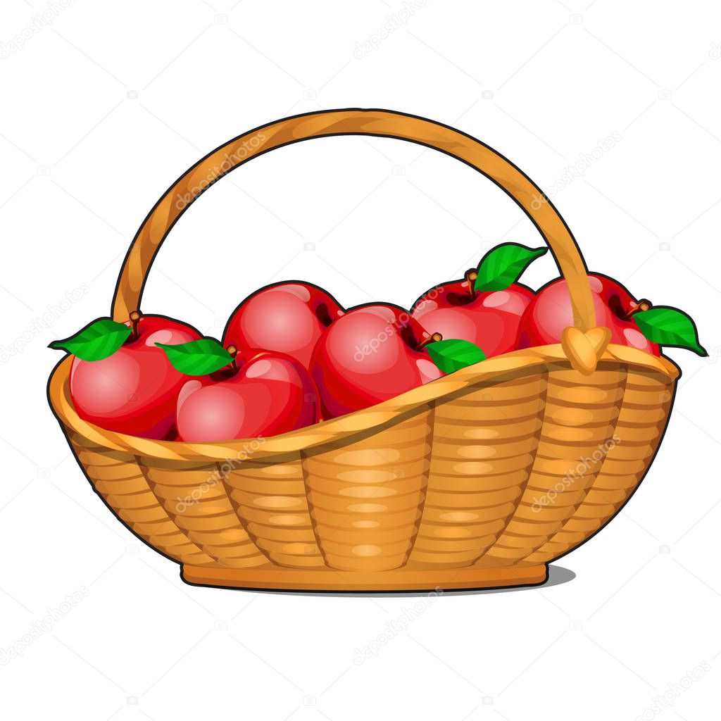 Wicker basket filled with ripe red apples isolated on white background. Food fitness menu. Vector cartoon close-up illustration.
