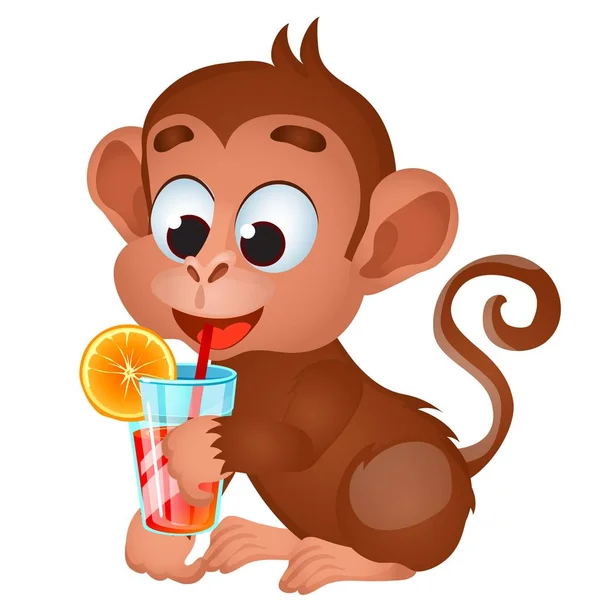 Vicces szép majom inni gyümölcslevet vagy limonádét elszigetelt fehér háttér. Vektor rajzfilm közeli illusztráció. — Stock Vector