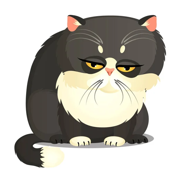 Gato gris grasa triste con ojos amarillos aislados sobre un fondo blanco. Gracioso animal. ilustración de primer plano de dibujos animados vectoriales . — Vector de stock