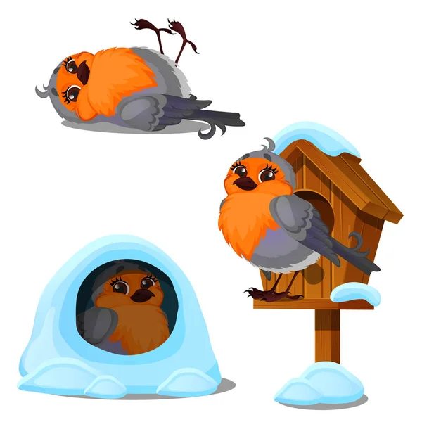 Schattige vogel zit in een houten birdhouse geïsoleerd op een witte achtergrond. Winter huizen worden gemaakt voor wilde dieren. Vectorillustratie cartoon close-up. — Stockvector