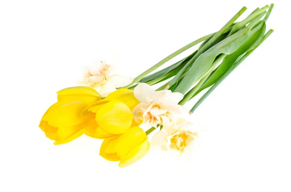 Bright spring flowers isolated on white background — Stock Photo, Image