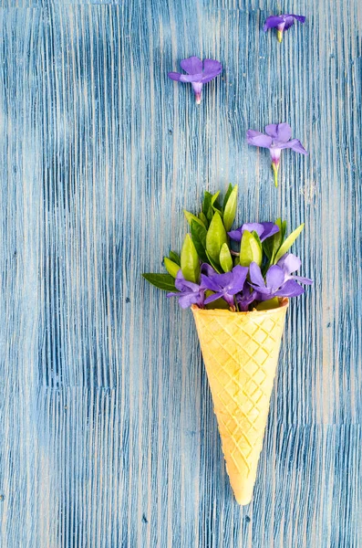 Kreativ layout och sammansättning av waffle cone och trädgård blommor — Stockfoto