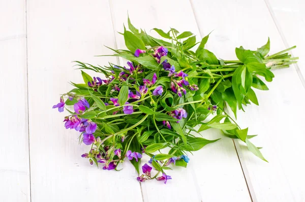 블루 꽃잎과 꽃의 작은 부케 — 스톡 사진