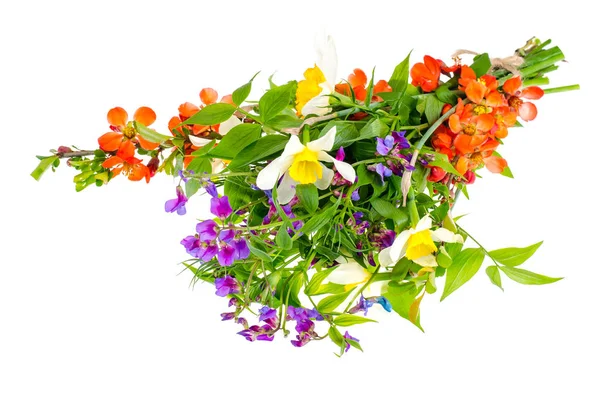 Hell Frühlingsblumen isoliert auf weißem Hintergrund — Stockfoto