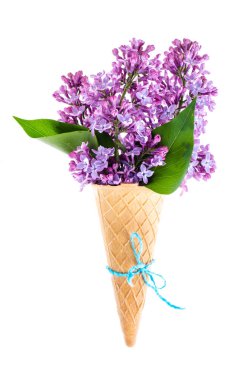 Yaratıcı düzeni ve kompozisyon gözleme koni ve Bahçe çiçek