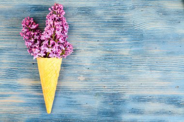 Yaratıcı düzeni ve kompozisyon gözleme koni ve Bahçe çiçek