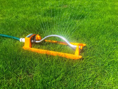 Güneşli günde çim çim sulama