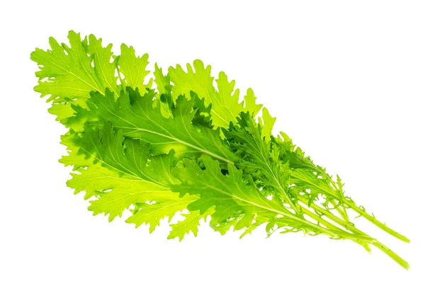 Hojas de ensalada verde fresca —  Fotos de Stock