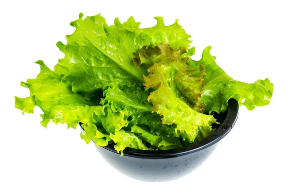 Листя свіжого зеленого салату — стокове фото