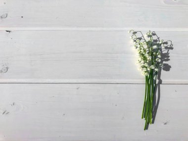 Beyaz ağaç üzerinde Vadisi'nin narin çiçekler