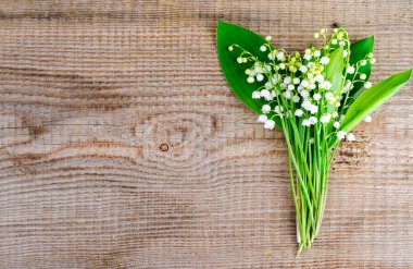 İhale bahar beyaz zambaklar Vadisi'nin demet