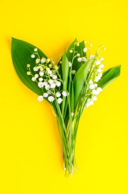 İhale bahar beyaz zambaklar Vadisi'nin demet