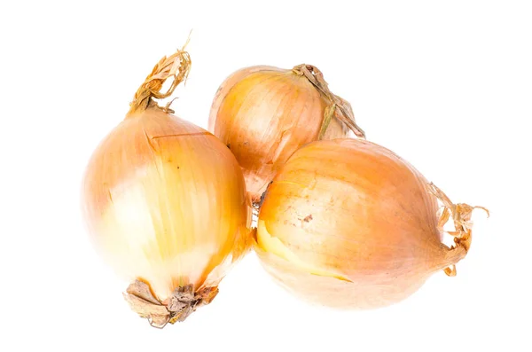 Big Shallots Stock Photos - Free & Royalty-Free Stock Photos from