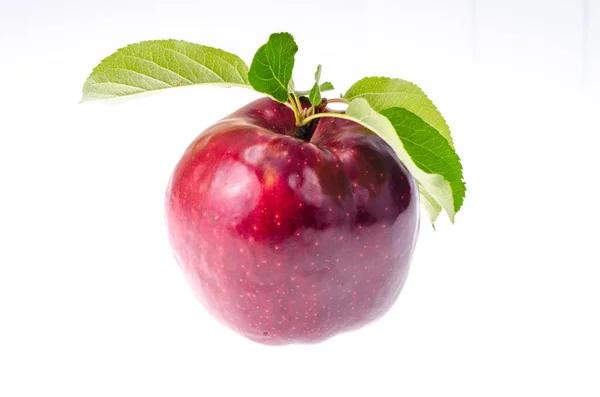 Único maçã doce madura vermelha com folhas verdes — Fotografia de Stock