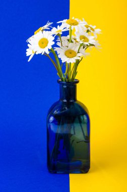 Vazoda beyaz papatya küçük buket