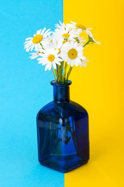 Vazoda beyaz papatya küçük buket