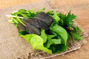 Taze salata karışımı farklı renklerde kalkıyor