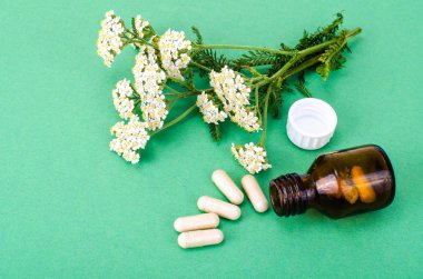 Tıbbi bitkisel kapsül, hap yeşil arka plan üzerinde şifalı bitkilerden