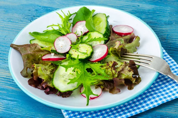 Frisches Gemüse mit Radieschen, Gurken — Stockfoto