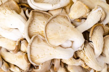 Ahşap masa üzerinde istiridye mantar