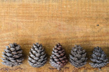 Ahşap arka plan üzerinde kahverengi çam ve sedir kozalakları