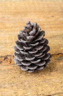 Ahşap arka plan üzerinde kahverengi çam ve sedir kozalakları