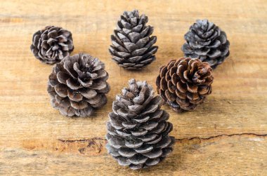 Ahşap arka plan üzerinde kahverengi çam ve sedir kozalakları