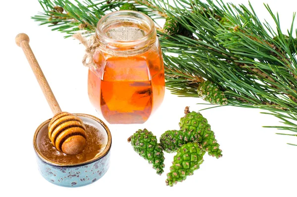 Yeşil çam kozalakları tatlım