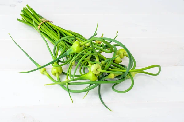 Garlic shoots on white background — Stock Photo, Image