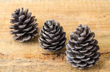 Ahşap arka plan üzerinde kahverengi çam ve sedir kozalakları