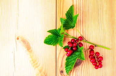 Frenk üzümü şube çilek ve yeşil yaprakları ile