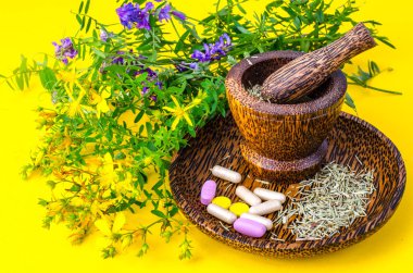 Bitkisel Tıp hap, kapsül şifalı bitkilerden. Studio fotoğraf