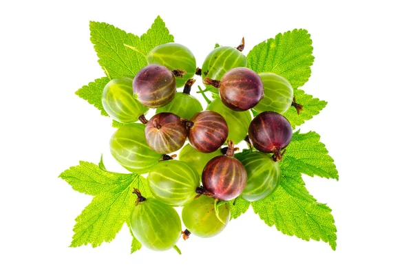 Beeren und Stachelbeerblätter auf weißem Hintergrund — Stockfoto