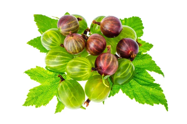 Beeren und Stachelbeerblätter auf weißem Hintergrund — Stockfoto