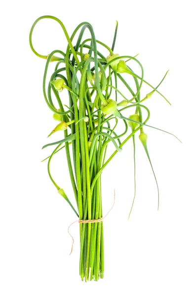 Garlic shoots on white background — Stock Photo, Image