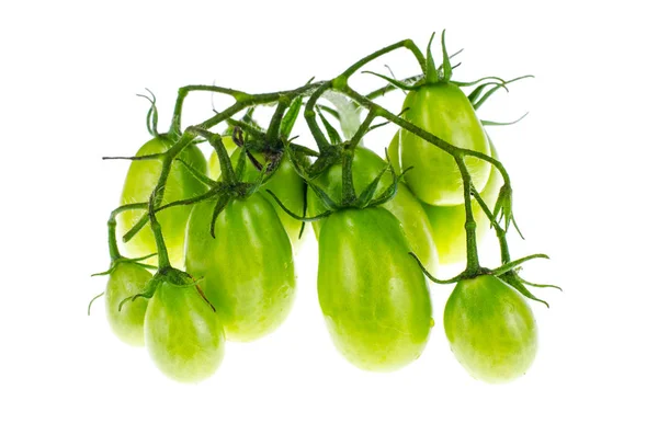 熟していない緑のチェリー トマトの枝 — ストック写真