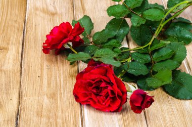 Kırmızı yeşil yaprakları ile ahşap masanın üzerine yükseldi.