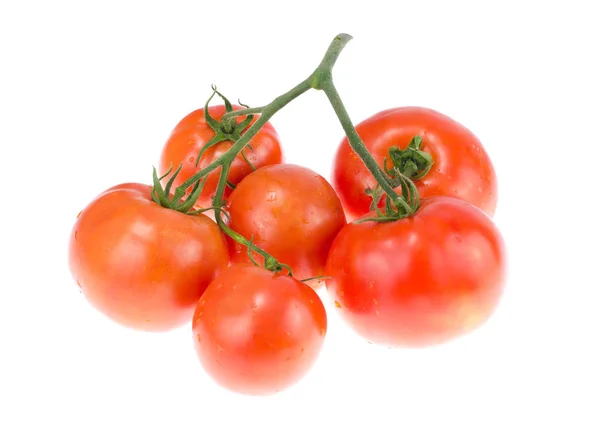 Ramo de tomates vermelhos maduros sobre fundo branco — Fotografia de Stock