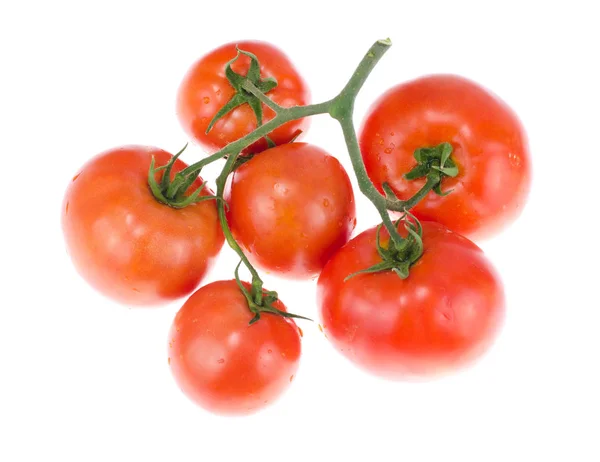 Ramo de tomates vermelhos maduros sobre fundo branco — Fotografia de Stock