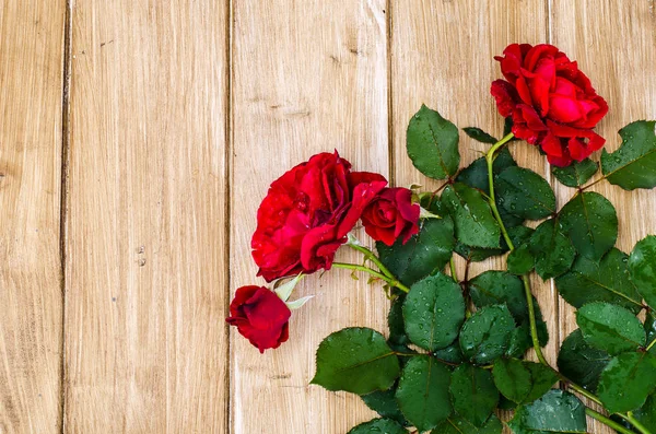 木製のテーブルに緑の葉と赤いバラ — ストック写真