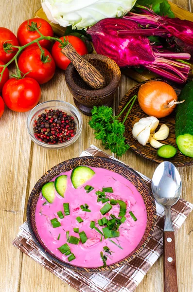 Вегетаріанський буряковий суп з зеленою цибулею — стокове фото