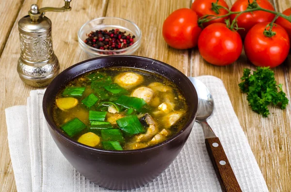 Vegetable broth with champignons and spring onions in brown bowl — Stock Photo, Image