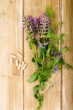 Şifalı bitkilerden doğal bitkisel kapsül