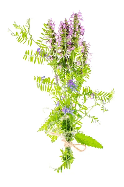 Boeket van wilde bloemen Lila — Stockfoto