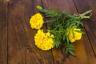 Ahşap masa üzerinde sarı Tagetis