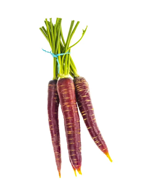 Carota viola su sfondo bianco — Foto Stock