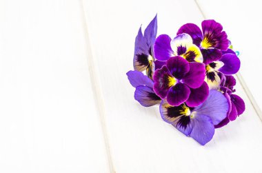 Viola üç renkli küçük buket