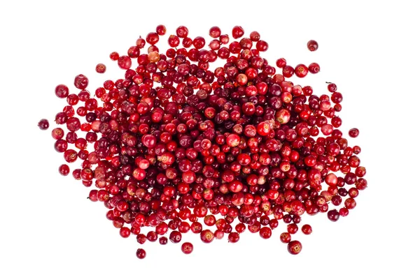 Wild lingonberries on white background — Stock Photo, Image