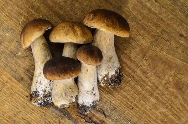 Bouquet de champignons forestiers sur table en bois — Photo