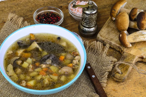 Läcker varm soppa med svamp och potatis — Stockfoto